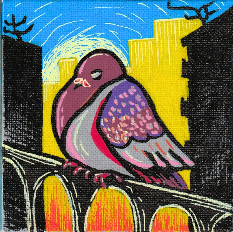 City Pigeon