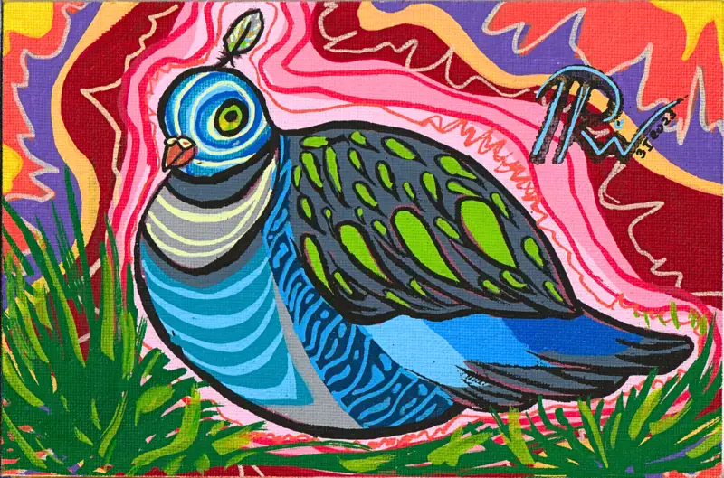 Psychedelic Pigeon